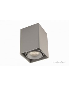 Светильник потолочный Donolux DL18611/01WW-SQ Silver Grey