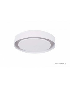 Потолочный светодиодный светильник Donolux DL18549/01WW D410