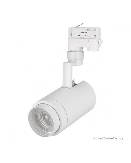 Трековый светильник трехфазный Arlight LGD-ZEUS-4TR-R88-20W White 6000K 024607