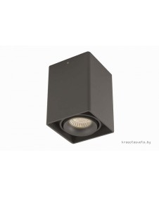 Светильник потолочный Donolux DL18611/01WW-SQ Shiny black