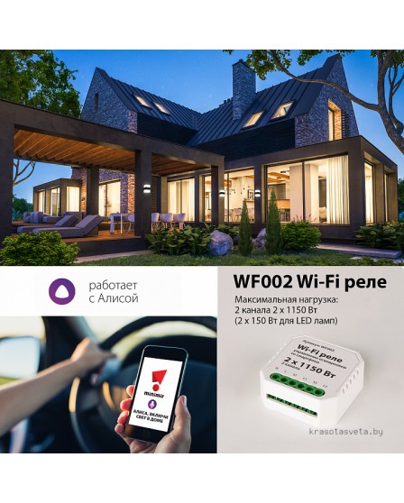 Wi-Fi реле 2 канала Elektrostandard WF002 Wi-Fi реле a047991