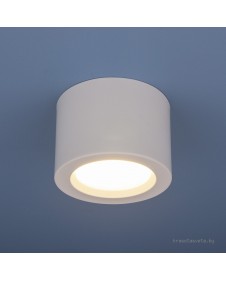 Накладной потолочный светодиодный светильник Elektrostandard DLR026 6W 4200K белый матовый a040440