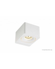 Светильник настенно-потолочный светодиодный Donolux DL18620/01WW-R White